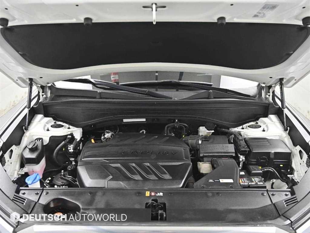 HYUNDAI Palisade - Vista 6