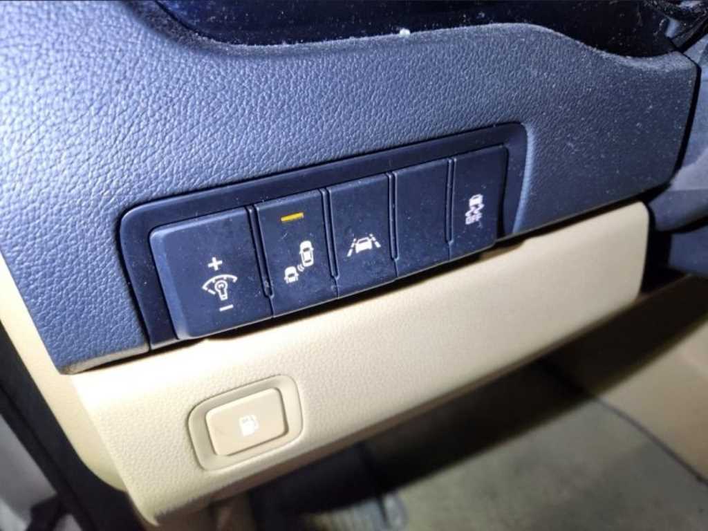 KIA Carnival - Vista 10