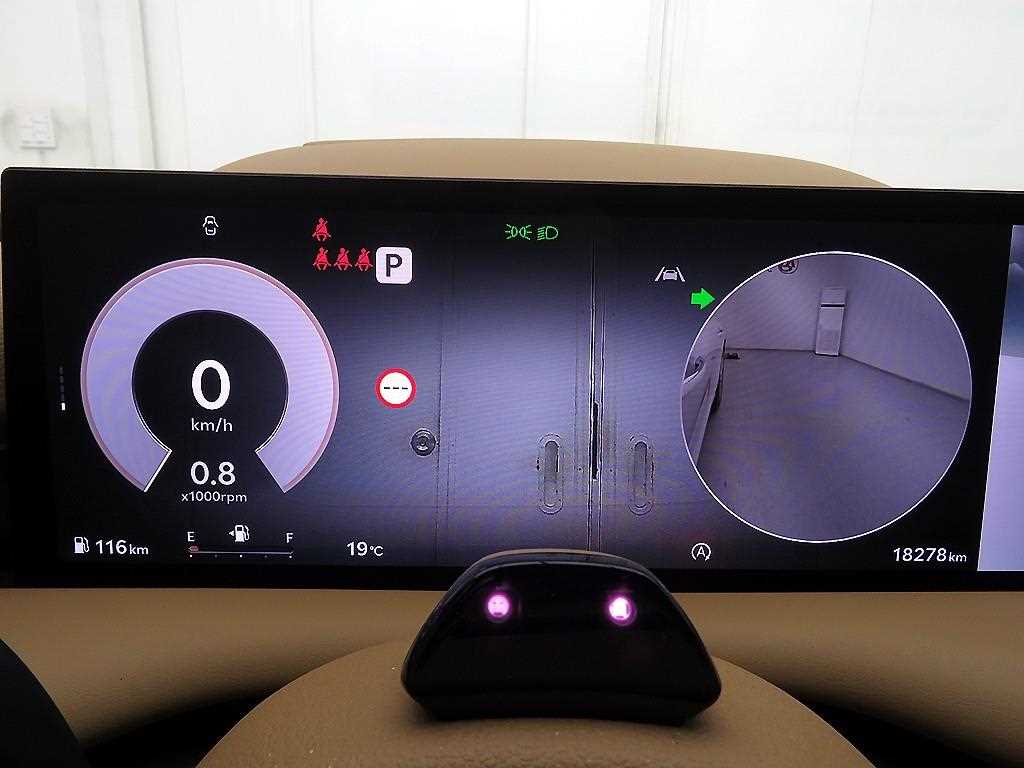 Genesis G80 - Vista 12