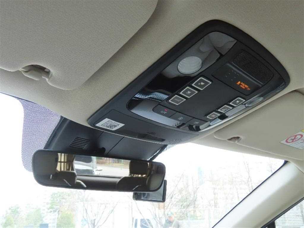 KIA Carnival - Vista 10