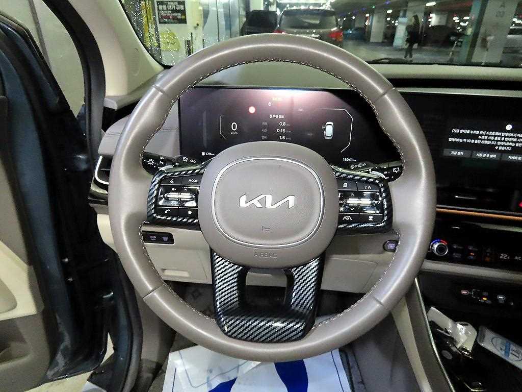 KIA Carnival - Vista 8