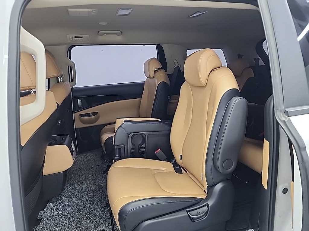KIA Carnival - Vista 12