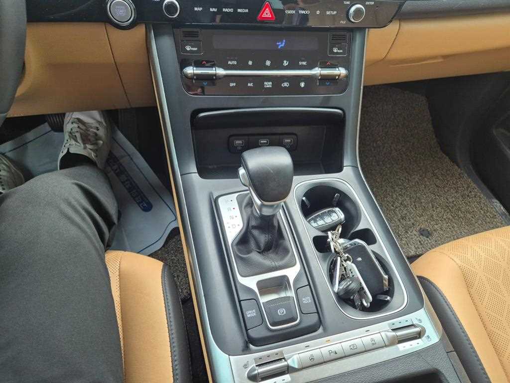 KIA Carnival - Vista 11