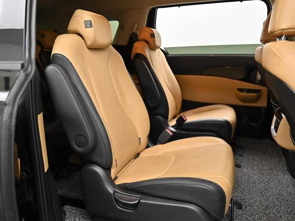 KIA Carnival - Vista 12