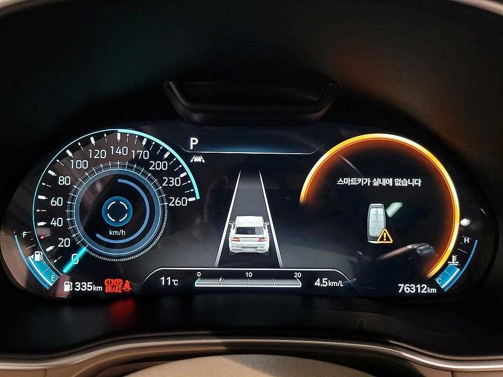 Genesis GV80 - Vista 10