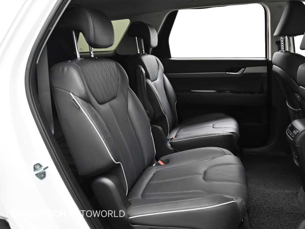 HYUNDAI Palisade - Vista 12