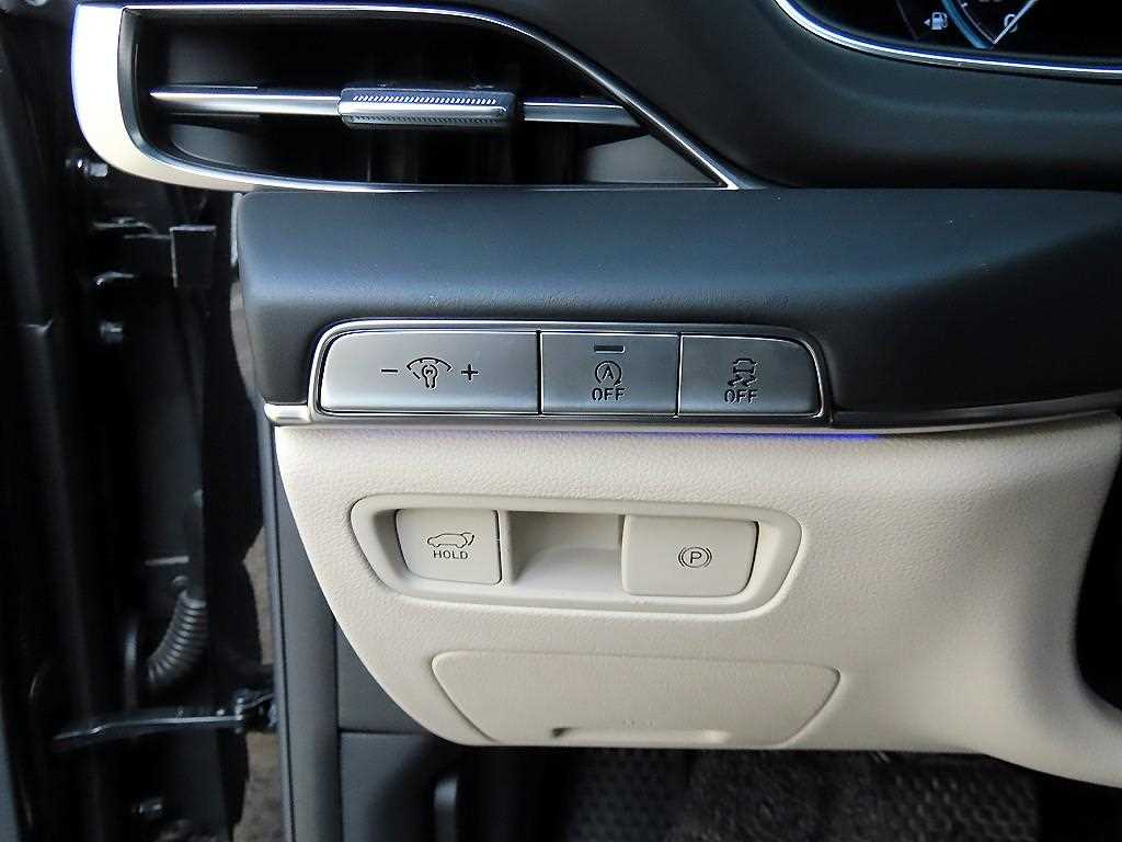 Genesis GV80 - Vista 12