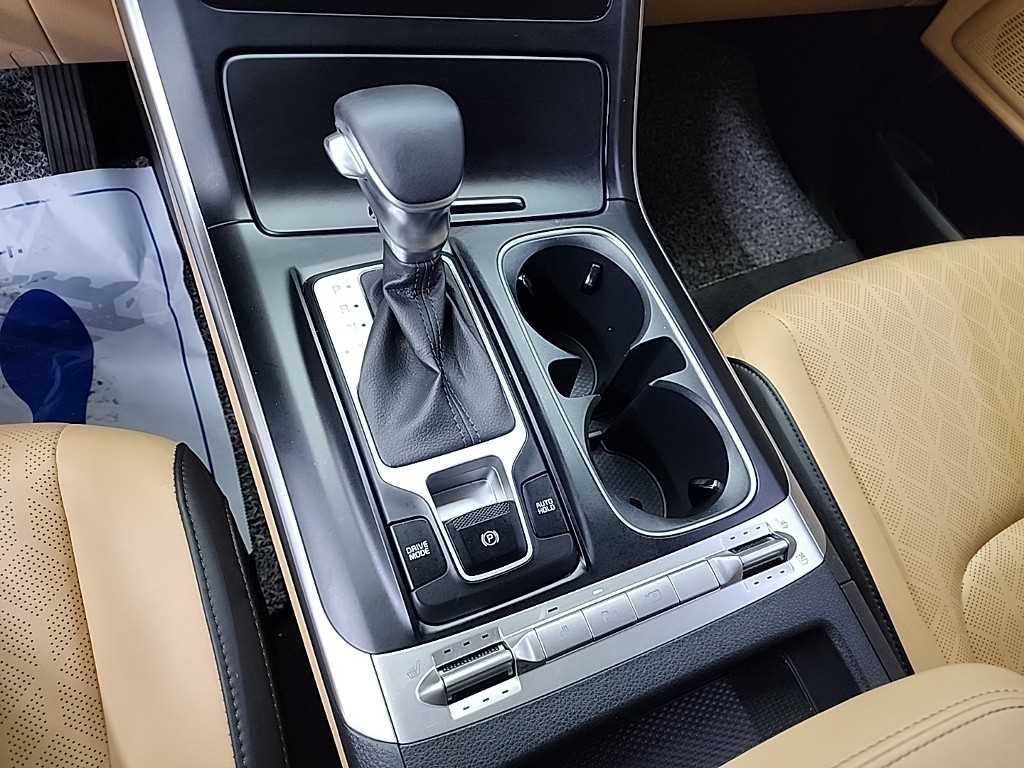 KIA Carnival - Vista 8