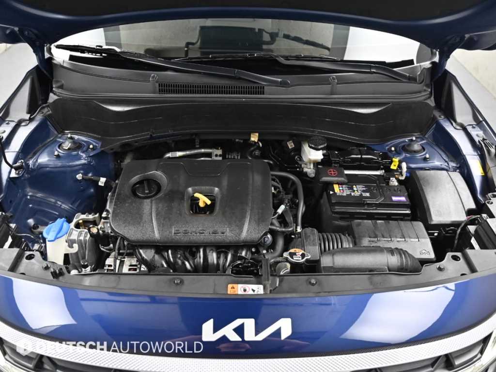 KIA Seltos - Vista 6