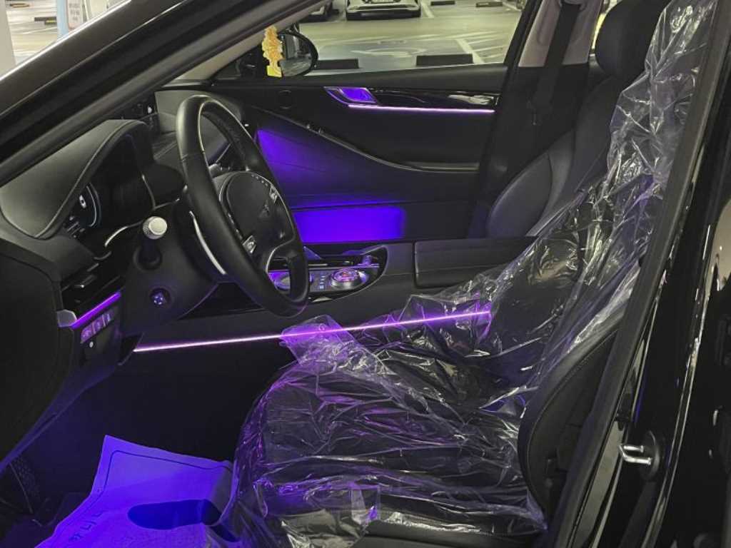 Genesis G80 - Vista 12