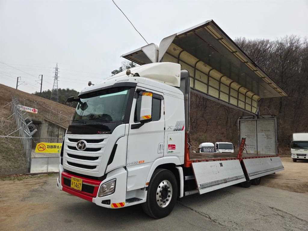 medium and large cargo truck - Vista 8