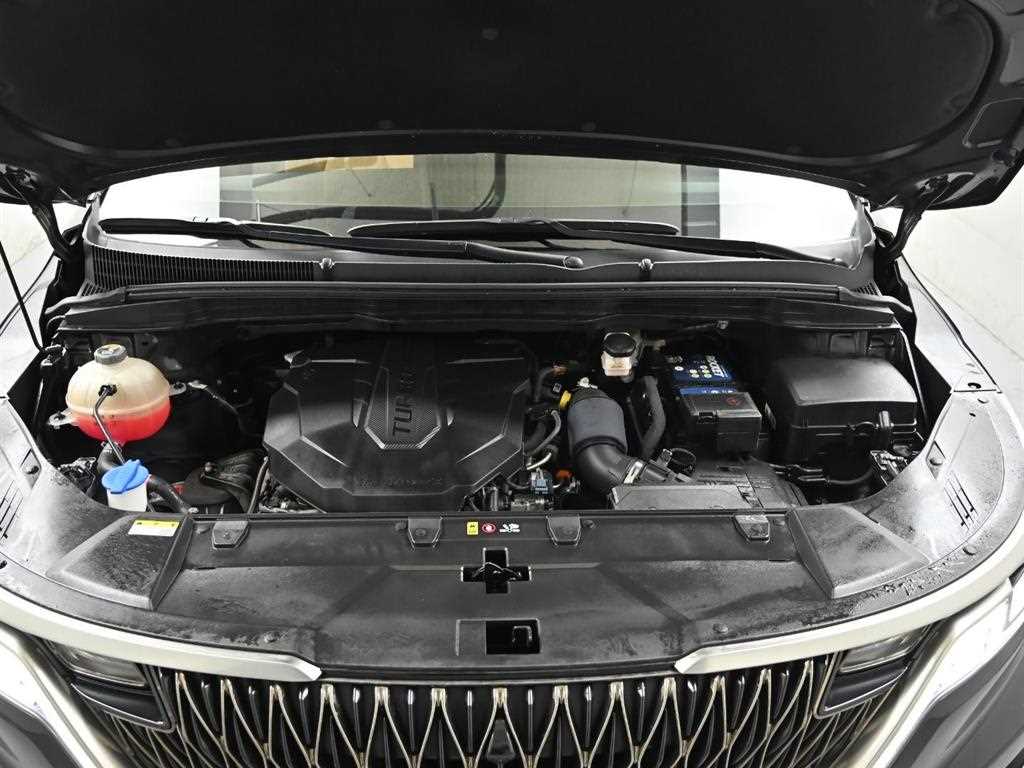 KIA Carnival - Vista 6