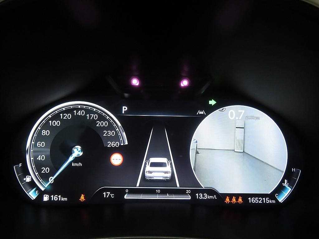 Genesis G80 - Vista 12