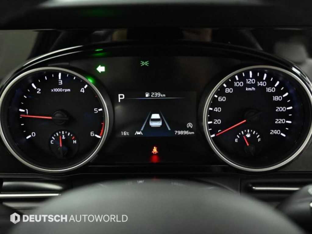 KIA Carnival - Vista 8