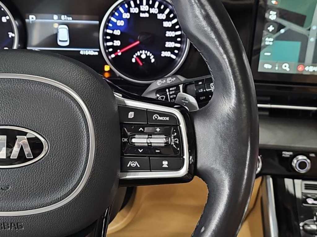 KIA Carnival - Vista 8