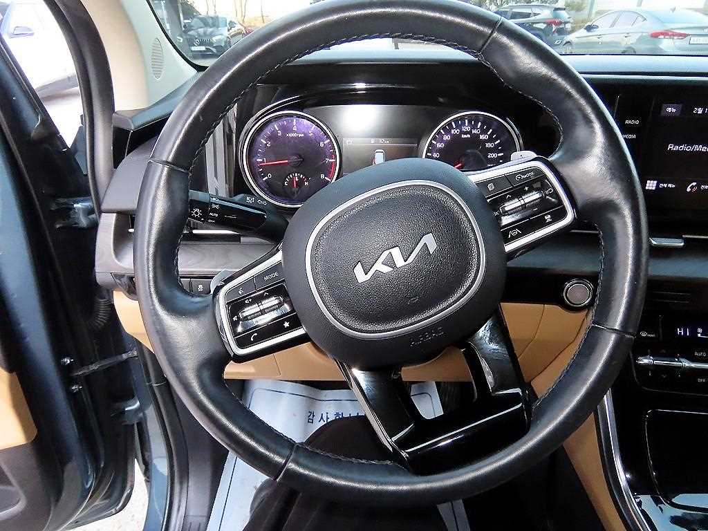 KIA Carnival - Vista 9