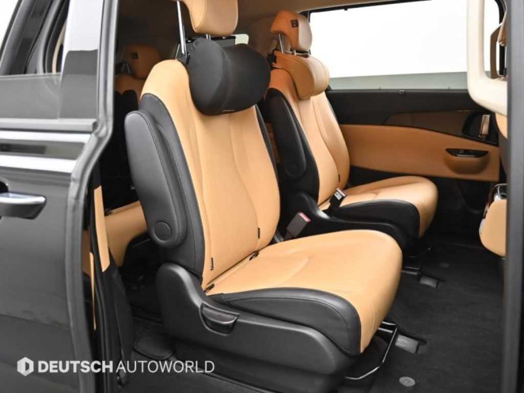 KIA Carnival - Vista 12