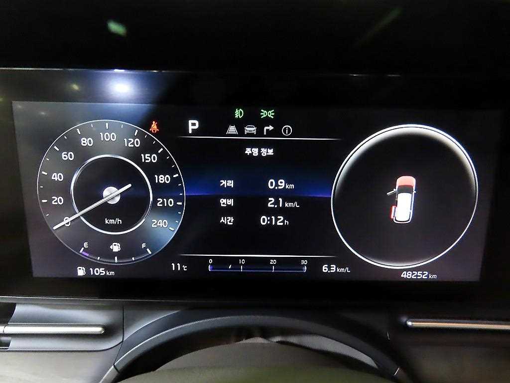 KIA Carnival - Vista 8