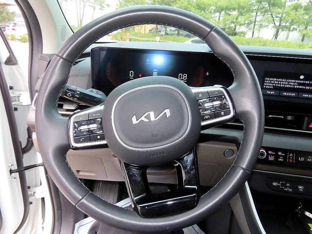 KIA Carnival - Vista 9