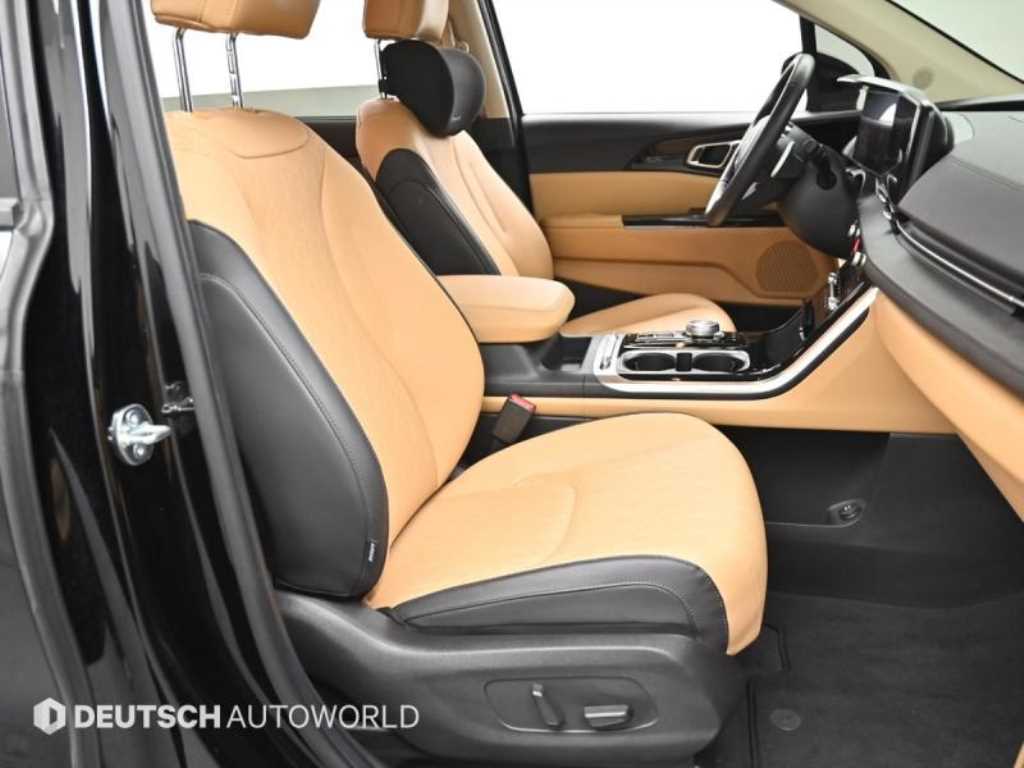 KIA Carnival - Vista 10