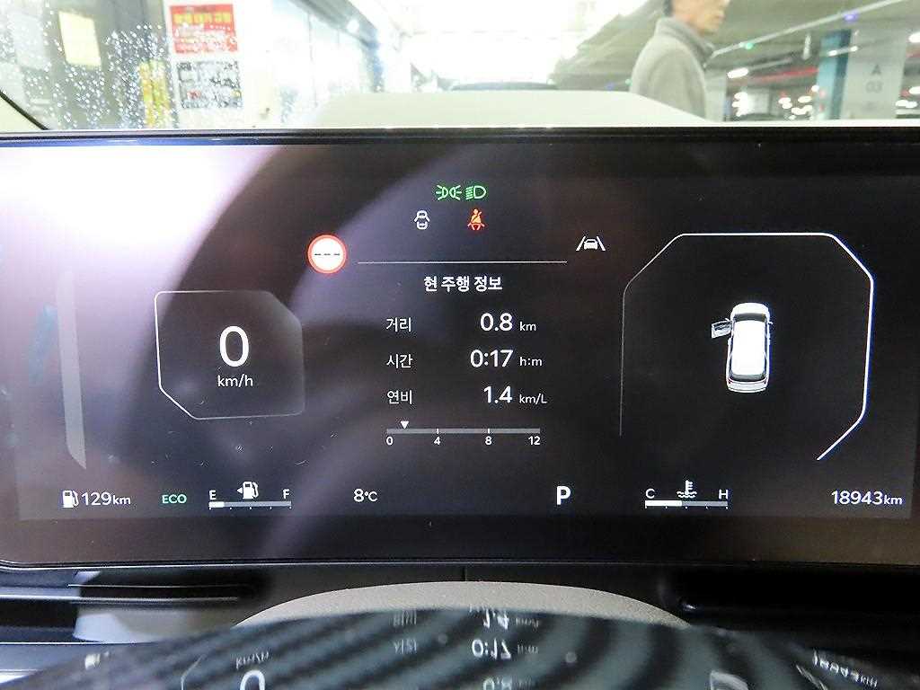 KIA Carnival - Vista 9