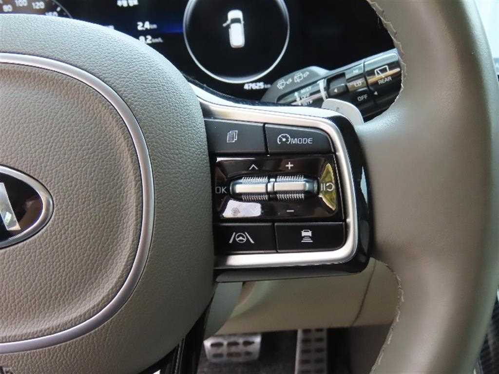 KIA Carnival - Vista 11