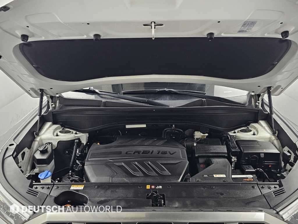 HYUNDAI Palisade - Vista 6