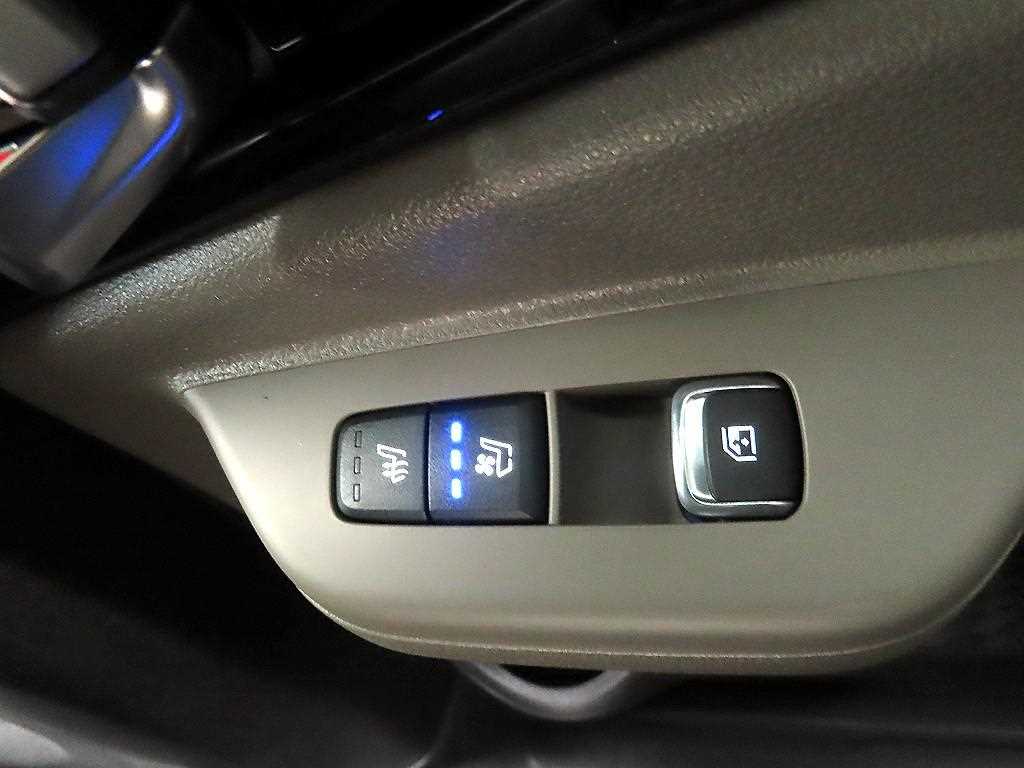 KIA Carnival - Vista 12