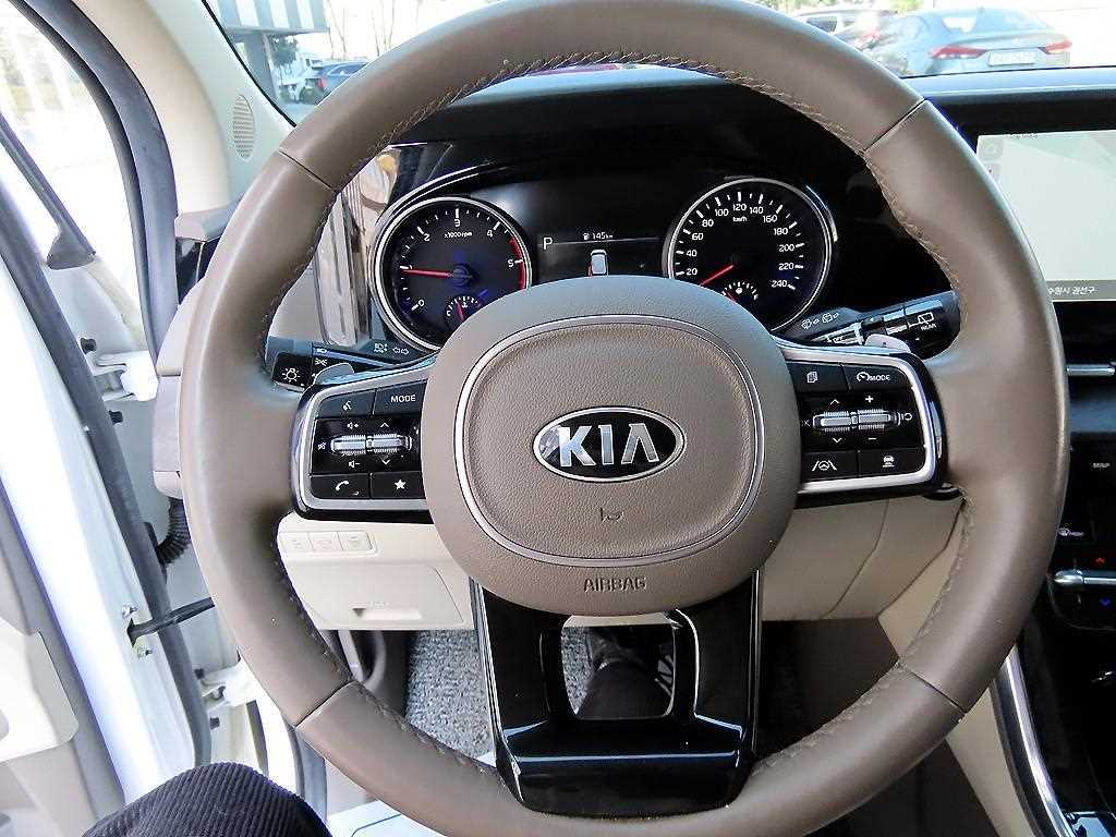 KIA Carnival - Vista 9