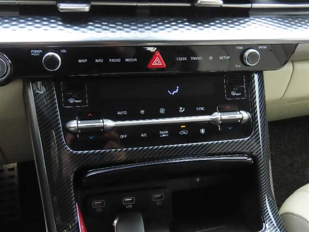 KIA Carnival - Vista 7