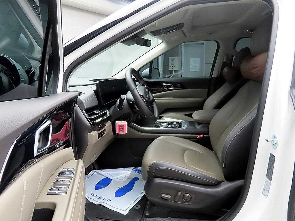 KIA Carnival - Vista 5