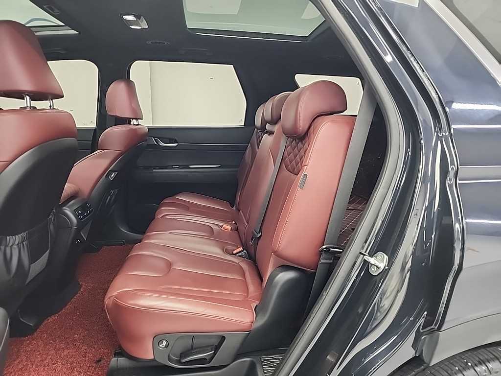 HYUNDAI Palisade - Vista 12
