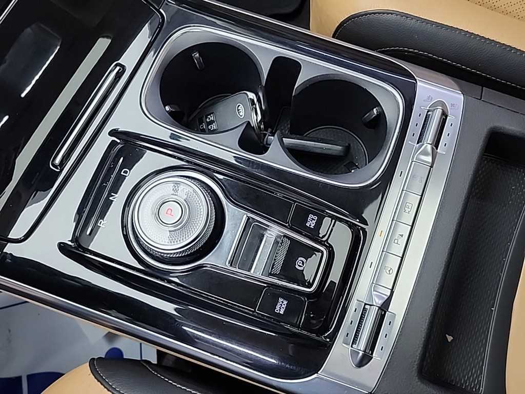 KIA Carnival - Vista 8