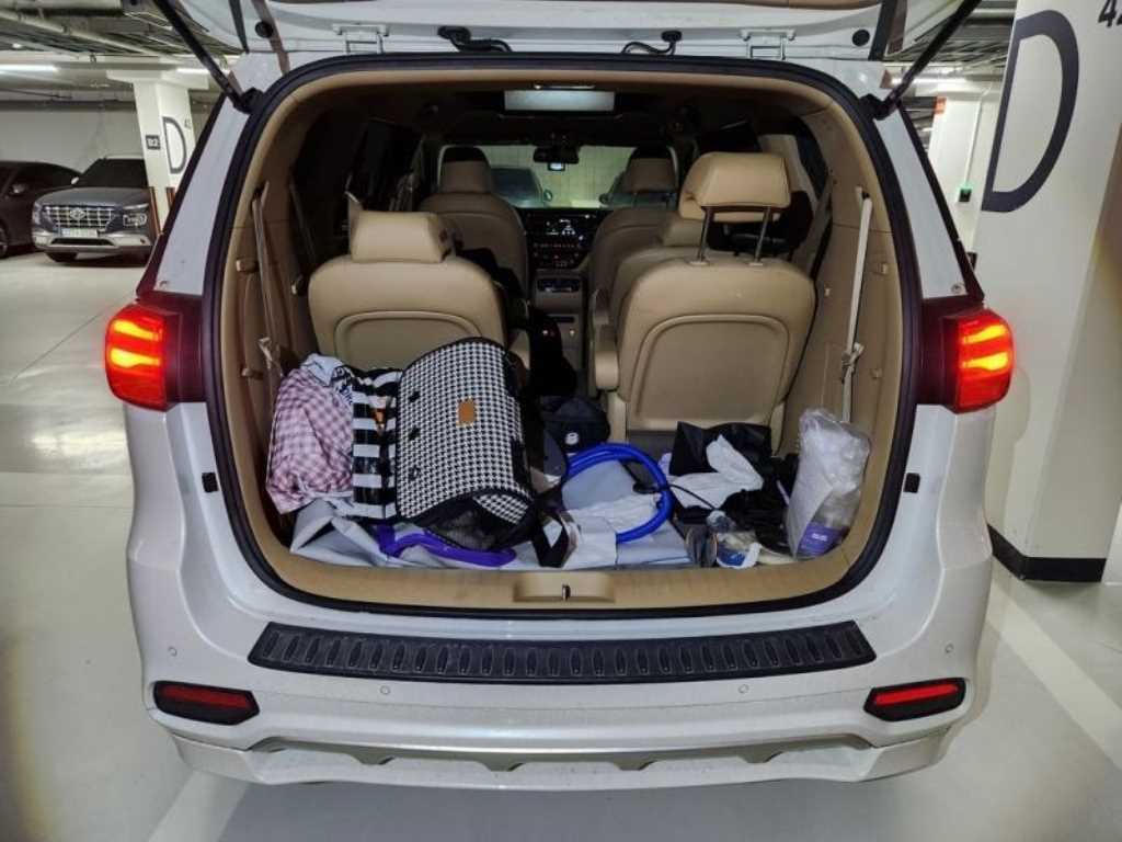 KIA Carnival - Vista 5