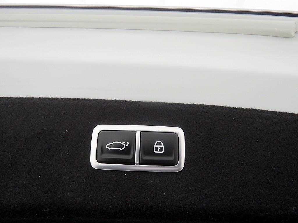 Genesis G80 - Vista 5