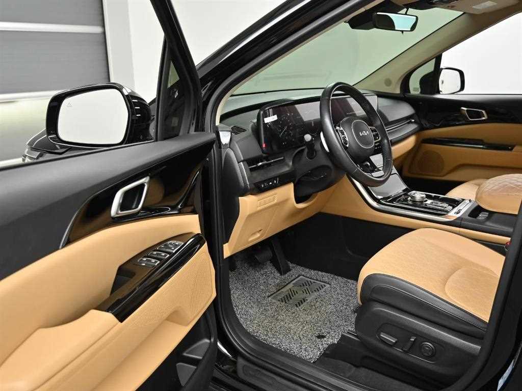 KIA Carnival - Vista 11