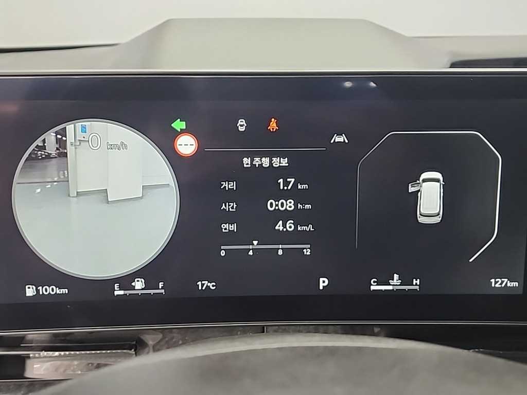 KIA Carnival - Vista 6