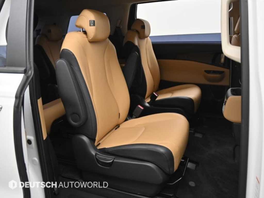 KIA Carnival - Vista 12