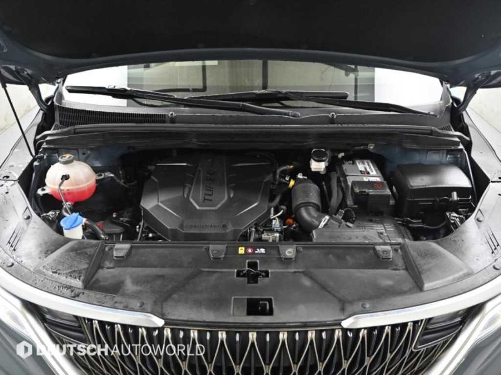 KIA Carnival - Vista 6