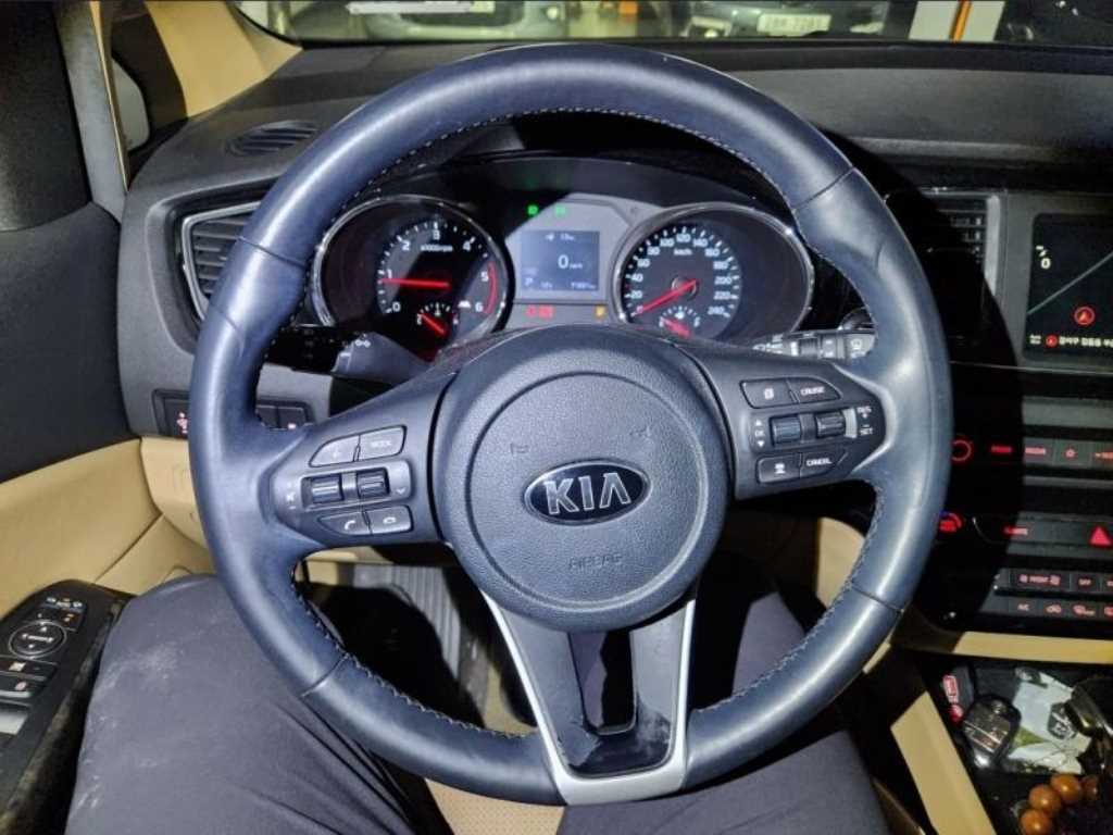 KIA Carnival - Vista 8