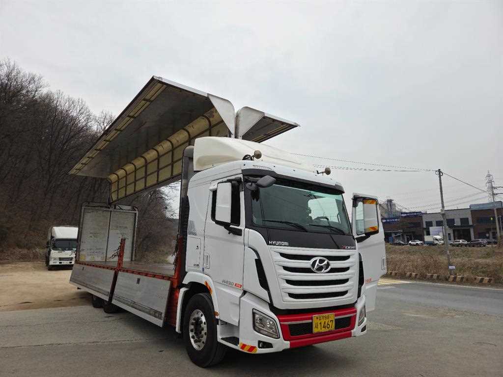 medium and large cargo truck - Vista 9