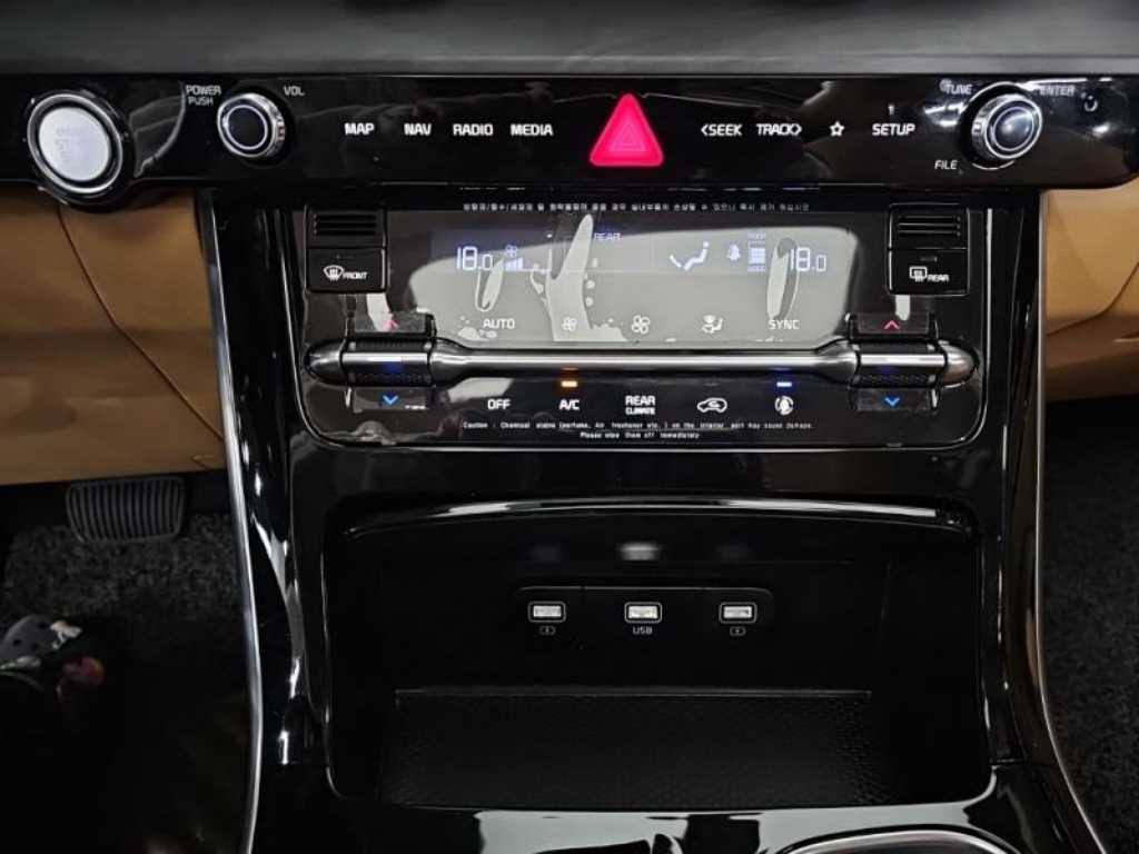 KIA Carnival - Vista 11