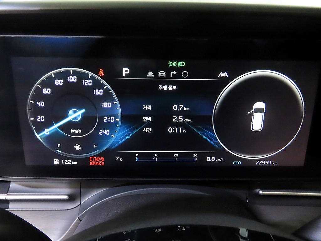 KIA Carnival - Vista 9