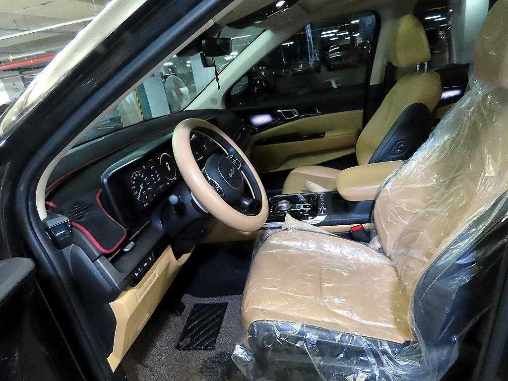 KIA Carnival - Vista 6