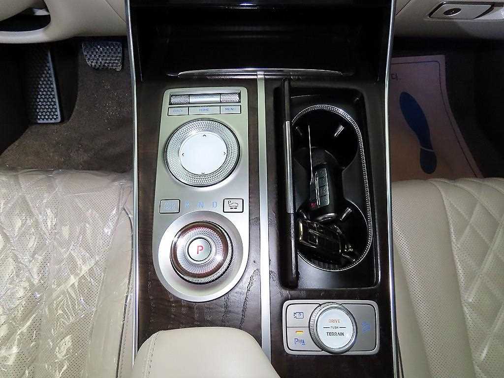 Genesis GV80 - Vista 12