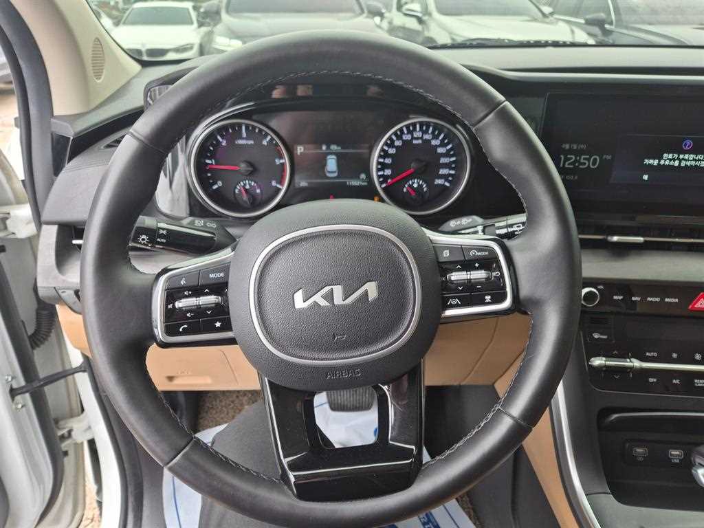 KIA Carnival - Vista 8