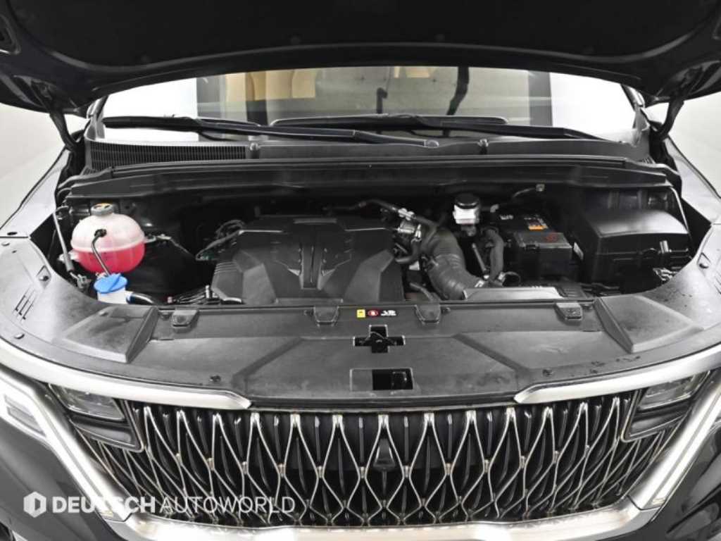 KIA Carnival - Vista 6