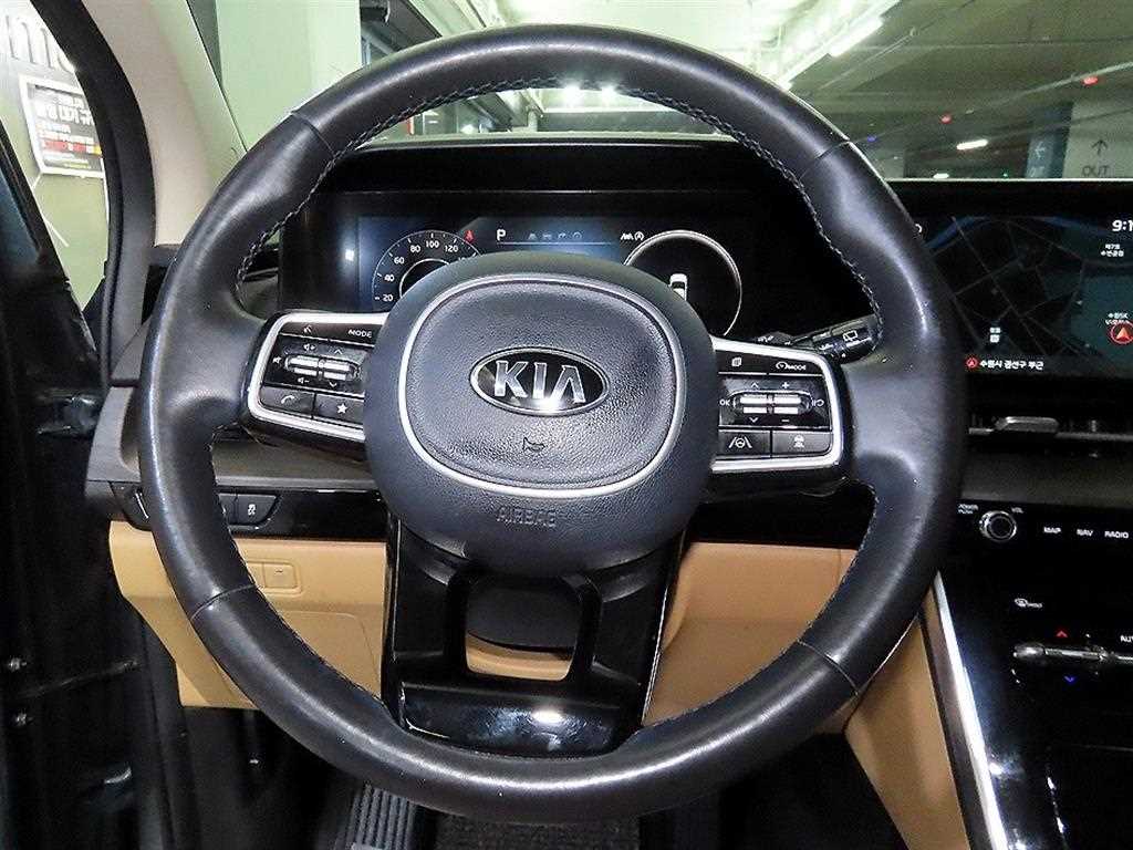 KIA Carnival - Vista 8