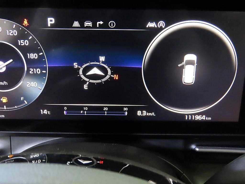 KIA Carnival - Vista 9