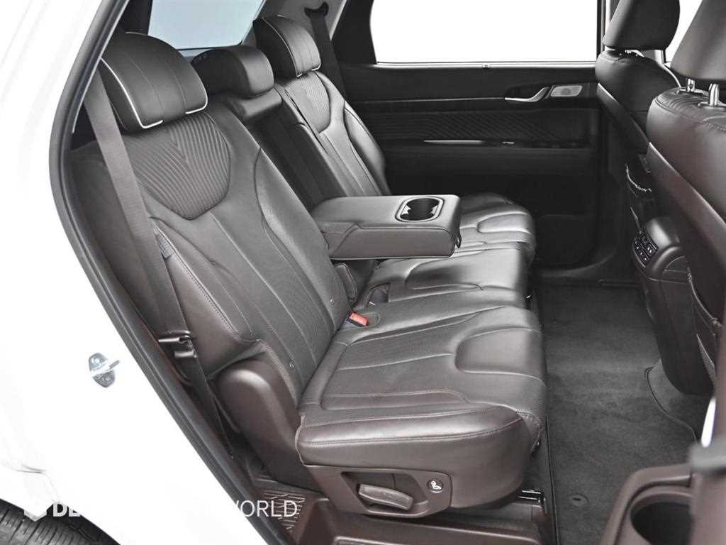 HYUNDAI Palisade - Vista 12
